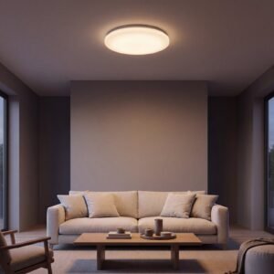 Surface Mounted Downlight